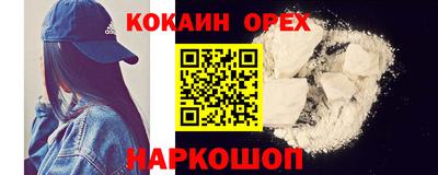 крисы Новодвинск