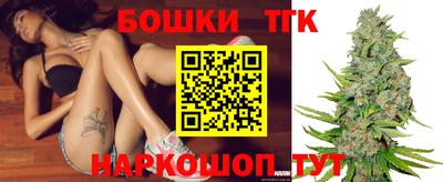 крисы Новодвинск