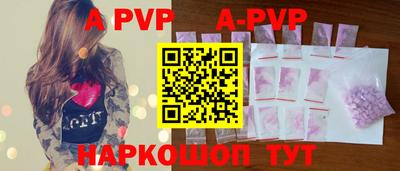 крисы Новодвинск