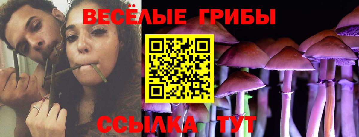 Галлюциногенные грибы мухоморы  Вход с VPN  Тихвин 